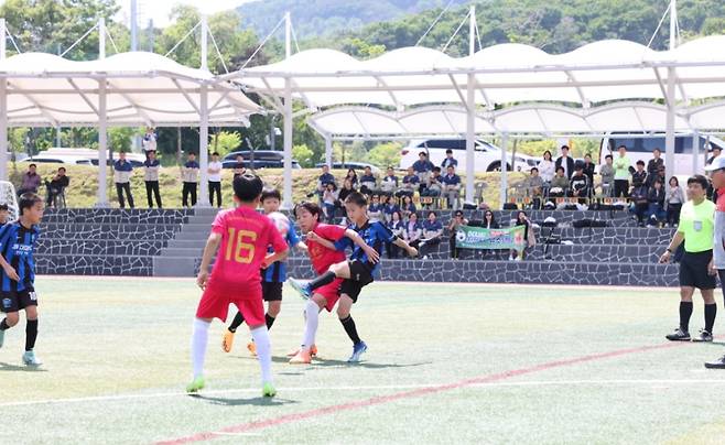 전국 유소년축구대회 모습. (진천군 제공) / 뉴스1