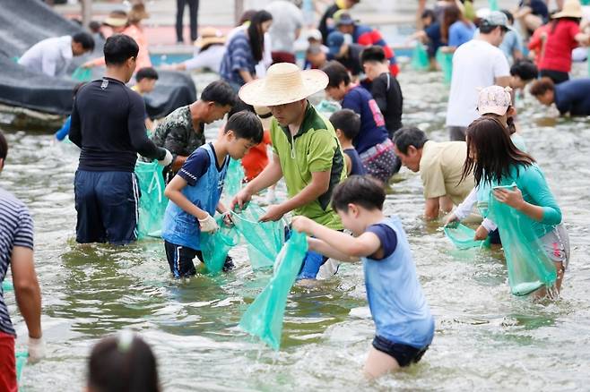 ▲전남 보성전어축제 [전남 보성군]