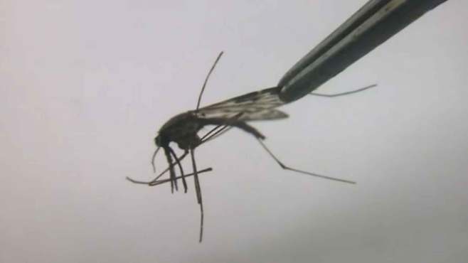 [전주MBC 자료사진]