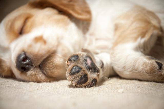 게티이미지뱅크