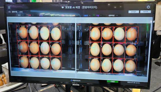 한밭아이오티의 AI 계란품질검사시스템(코코봇 AI 비전)을 시연한 모습/사진=류준영 기자