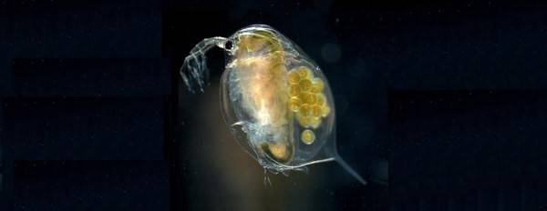 출처 : 워터저널(https://www.waterjournal.co.kr)