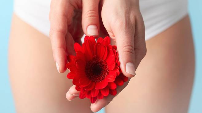 산부인과 전문의들은 여성들이 자신의 생식기에 대해 더 많이 배우고, 자신의 몸과 화해하는 법을 익혀야 한다고 말한다