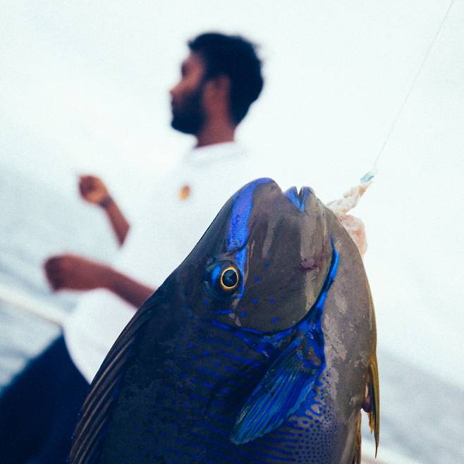 사투 끝에 끌어올린 물고기, 물론 내가 낚은 건 아니다