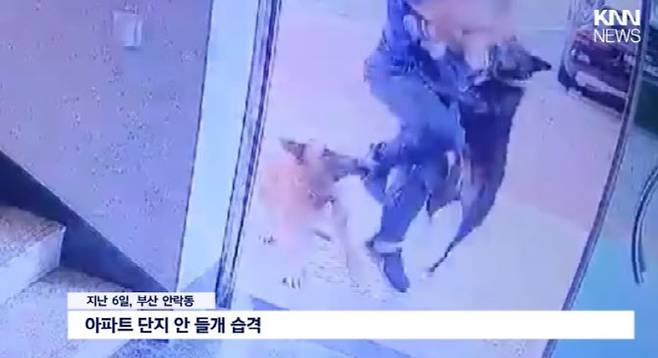 (사진=KNN뉴스 캡처)