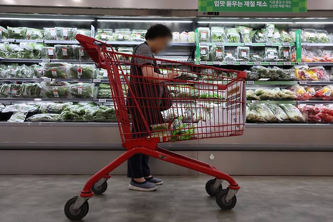 서울 한 대형마트의 채소 판매대. [연합]