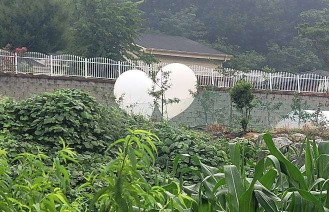 지난 6월 경기도 이천시 신둔면 인후리의 밭에 북한이 부양한 대남 오물풍선이 떨어져 있다. [연합]