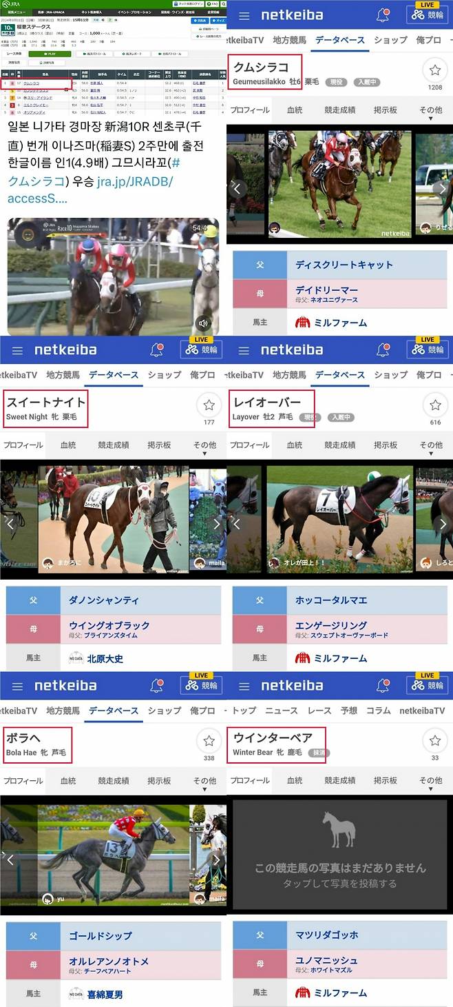 방탄소년단 뷔 영감 '그므시라꼬' 일본 경마 대회 1위