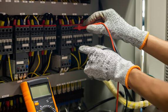 게티이미지뱅크