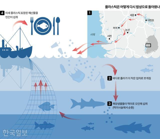 플라스틱은 어떻게 다시 밥상으로 돌아왔나. 그래픽=이지원 기자