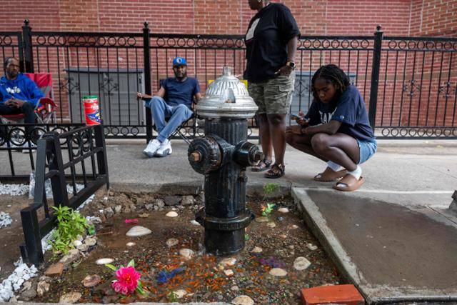 미 뉴욕시 브루클린 자치구에서 13일 시민들이 물이 새는 소화전 아래의 웅덩이에서 헤엄치는 금붕어들을 바라보고 있다. 브루클린 주민이 만든 임시 수족관은 '베드-스타이 금붕어 연못'이라고 불리며 관심을 끌기 시작했으나 금붕어가 도난당하기 시작하면서 당국의 우려와 동물 권리 옹호자들의 반발을 불러일으키고 있다. 뉴욕=AFP 연합뉴스