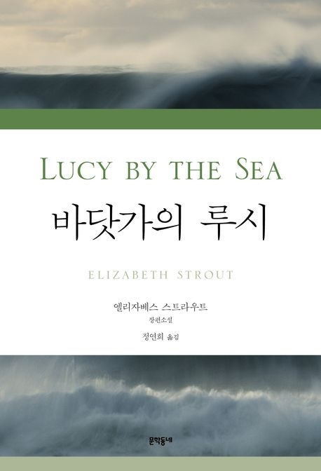 바닷가의 루시, 엘리자베스 스트라우트 지음, 정연희 옮김, 문학동네 펴냄, 1만8000원