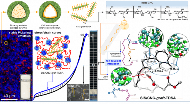 연구진이 피커링(Pickering) 에멀전 방법과 열 에스테르화(Thermal Esterification) 반응을 통해 셀룰로오스 나노결정체를 소수화하는데 성공했다. 그림은 그 과정을 보여준다.