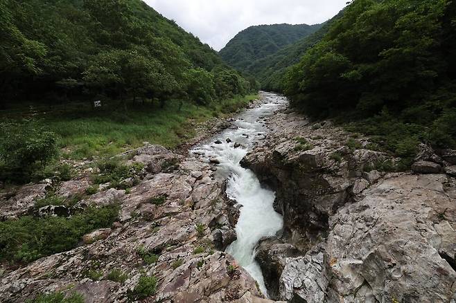 강원도 양구군의 대표 관광지인 두타연이 사라질 위기에 놓였다. 두타연을 포함한 방산면 수입천 일대에 다목적댐 건설이 추진되기 때문이다. 사진은 2024년 8월6일 오후 양구군 두타연에서 흘러내리는 물줄기의 모습. 한겨레 김봉규 선임기자