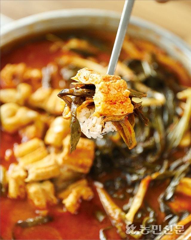 충남 보령에서 맛볼 수 있는 ‘파김치붕장어찌개’. 2년 묵은 파김치와 부드러운 붕장어가 잘 어울린다. 매콤 칼칼한 국물도 일품이다. 보령=김원철 프리랜서 기자