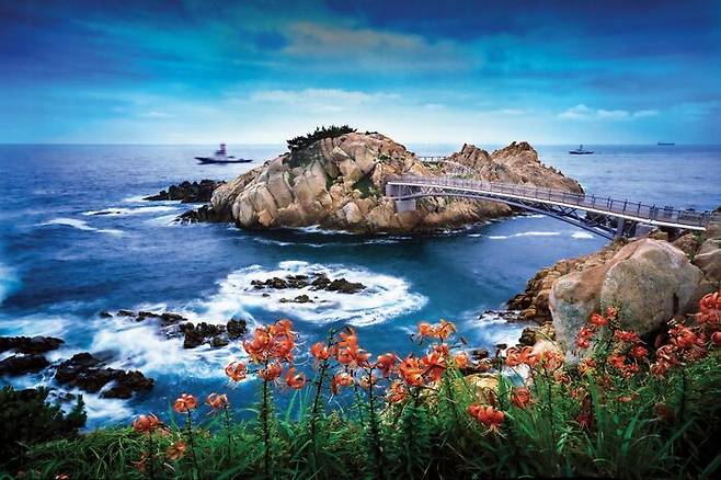 홍종화 - 대왕암의 참나리 군락지