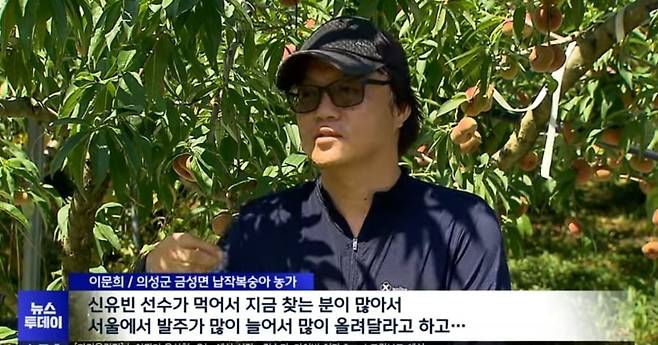 신유빈 선수가 파리에서 먹은 납작복숭아 덕에 국내에선 생소한 이 고가의 복숭아에 대한 호기심이 커지면서 관련 농가가 즐거운 비명을 지르고 있다. 납작복숭아는 여름철이 건조한 유럽과 중국 등지에서 주로 생산되는 품종이다. /mbc