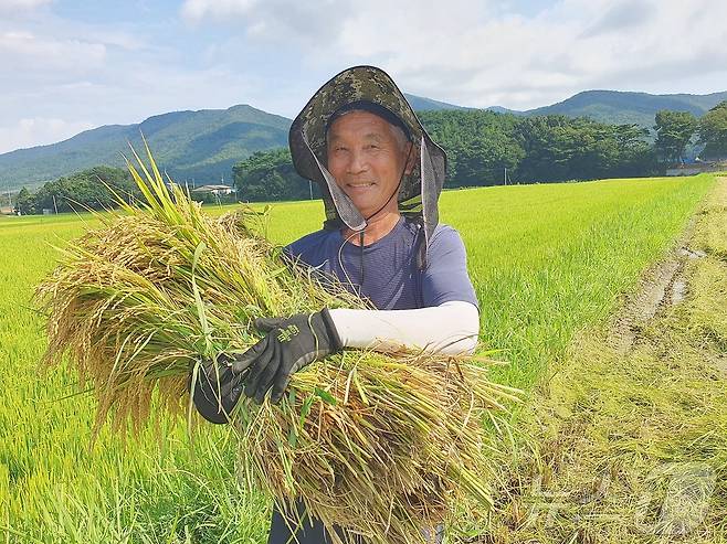 18일 보성군 웅치면  대산리 김안자씨(75) 농가가 모내기를 한 후 120만에 첫 올벼쌀을 수확했다.(보성군 제공)2024.8.19/