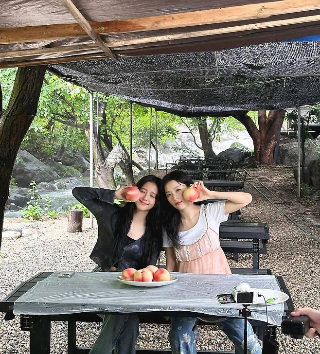 인스타그램 @hi_sseulgi
