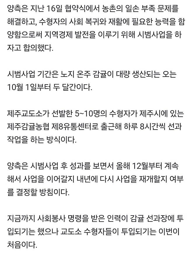 제주 감귤 선과 작업에 교도소 수형자 일손 보탠다