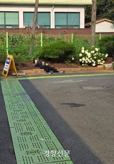 지난 13일 전남 장성군의 한 중학교 화단에 에어컨을 설치하던 20대 노동자가 온열질환 증세를 보인 뒤 쓰러져 있다. 회사 측은 이 사진을 유족에게 보낸 뒤 “데리고 가라”고 했다. 유가족 제공.