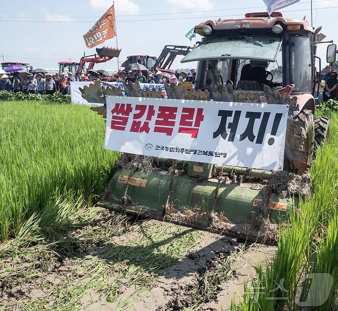 쌀값 폭락에 분도한 전북지역 농민들이 논 갈아엎기 투쟁에 나선 모습(독자 제공)/뉴스1