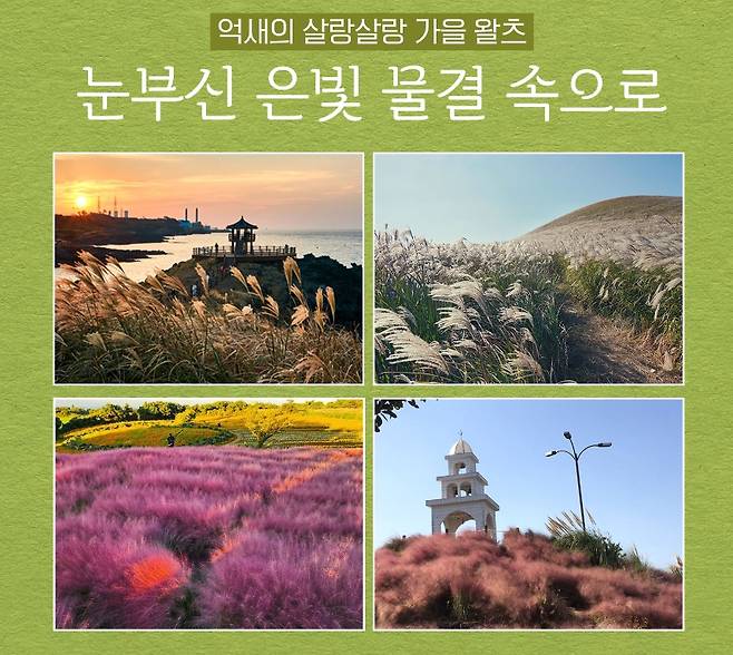 놓치지 말아야 할 제주 관광지 (제주관광공사 제공)