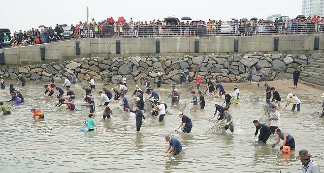 서산 삼길포서 24∼25일 우럭축제 [서산시 제공. 재판매 및 DB 금지]