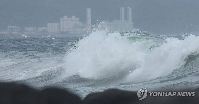 대피 명령 무시하고 스노클링하다 바다에 빠진 20대