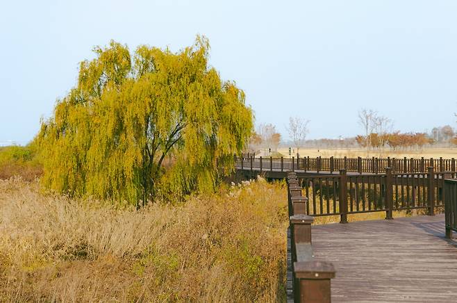 고양 한강평화공원