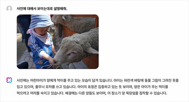 ?????????????X 비전 기능 예시 [이미지=네이버]