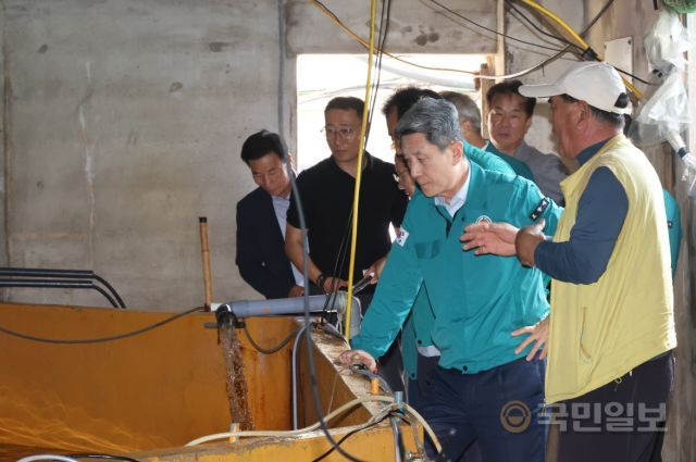 22일 이강덕 포항시장이 고수온으로 피해가 발생한 남구 구룡포읍 소재 양식장을 찾아 고수온 대응상황을 점검하고 있다. 포항시 제공