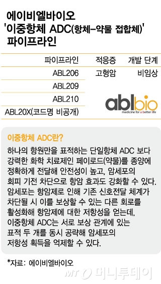 에이비엘바이오 '이중항체 ADC(항체-약물 접합체)' 파이프라인. /사진=김현정 디자인기자