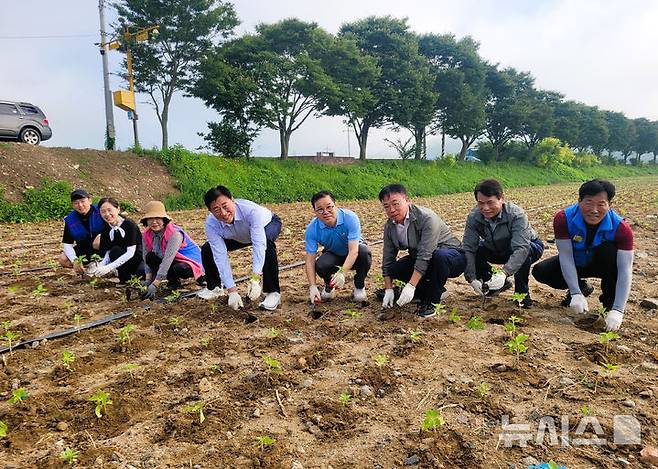 [장성=뉴시스] 김한종 장성군수(왼쪽 네 번째)가 농업인단체 회원들과 황룡강 하천부지에 해바라기를 식재하고 있다. (사진=장성군 제공) 2024.08.22. photo@newsis.com *재판매 및 DB 금지