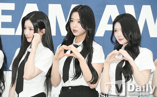 티브이데일리 포토