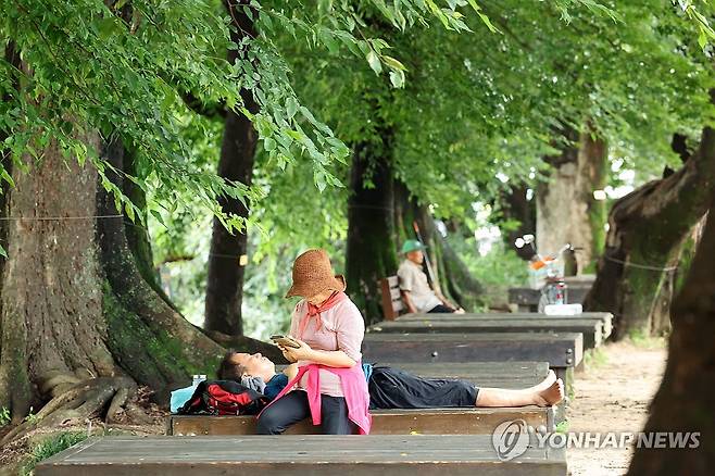 무더위 피해 나무 그늘로 (담양=연합뉴스) 김혜인 기자 = 폭염 경보가 발효 중인 21일 오후 전남 담양군 담양읍 관방제림 평상에서 시민들이 더위를 피해 휴식을 취하고 있다. 2024.8.21 in@yna.co.kr