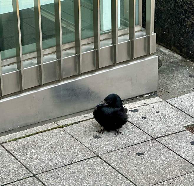 09988870b2866ff7239982ec349c706e33c39f47c1005661bd2f291e6f282bff291de036b9162bf9d556920eb2afd65e88064e585e