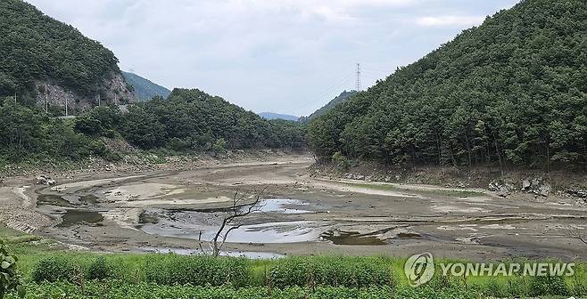 물 빠진 강릉시 상수원 오봉저수지 (강릉=연합뉴스) 유형재 기자 = 강원 동해안에 가뭄이 계속되는 가운데 23일 강릉시 주 상수원인 오봉저수지 상류 지역이 바짝 말라 있다.
    오봉저수지의 이날 저수율은 31.9%에 불과하다. 2024.8.23 yoo21@yna.co.kr