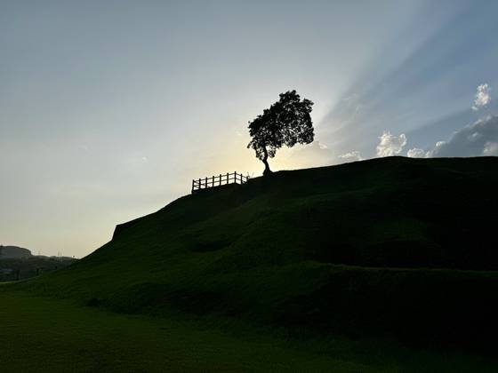 당포성(堂浦城)은 당포나루로 흘러 들어오는 당개 샛강과 임진강 본류 사이에 형성된 절벽 위 삼각형 모양의 평면 대지에 위치한 고구려시대 성이다. 당포성 북쪽에는 개성으로 가는 길목에 해당하는 마전현이 자리하고 있어 북상하는 적을 방어했다. 반대로 신라가 이곳을 차지하면서 남하하는 적을 막기에 최적이었다. 보수작업을 거친 동쪽 성벽 위에 팽나무가 외롭게 서있다. 김홍준 기자