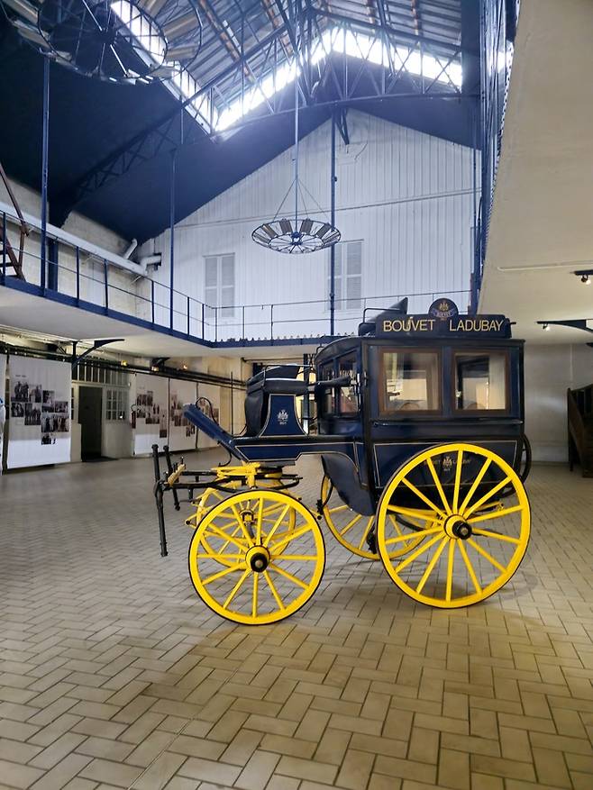 부베 라뒤베. 최현태 기자