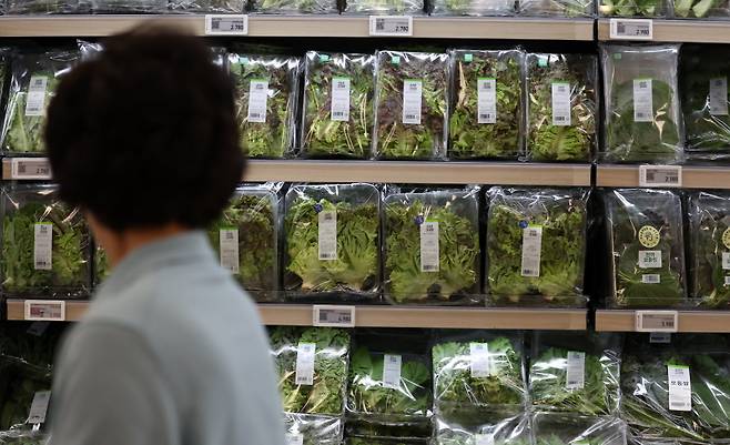 상추 등 일부 농산물 가격이 급등하고 있다.[사진=더스쿠프 포토]