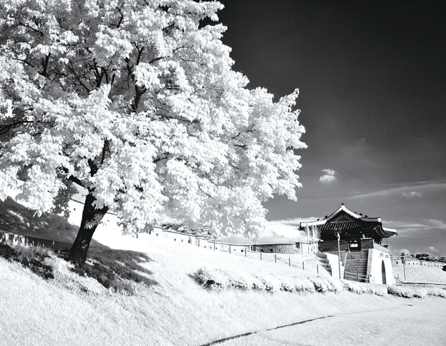 기본계획의 규모는 실제와 차이가 있을 수 있다. 사업 초기 단계에서 본 규모이기 때문이다. 이강웅 고건축전문가