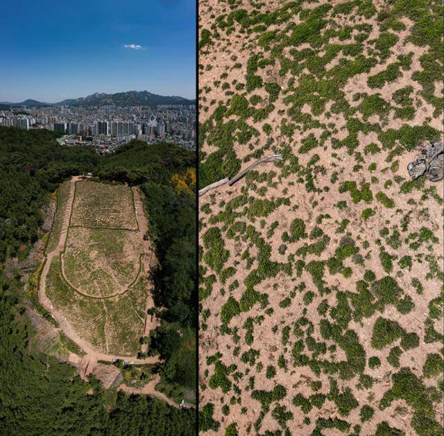 숭실고 방면 봉산 급경사지가 민둥산의 형상을 하고 있다. 현장 관계자의 증언에 따르면 이들은 편백나무 식재를 목적으로 원래 이 자리에 있던 숲을 개벌했으나, 암반 지대임이 뒤늦게 밝혀지며 편백나무를 심는 데 실패하고 대신 꽃잔디를 심었다고 한다. 상시로 인공 급수를 하는 등 관리를 하고 있지만 꽃잔디의 활착률이 낮아 군데군데 맨땅이 드러나 있다.