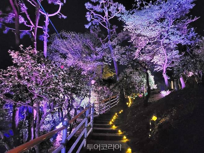 노산 빛공원/사진-사천시