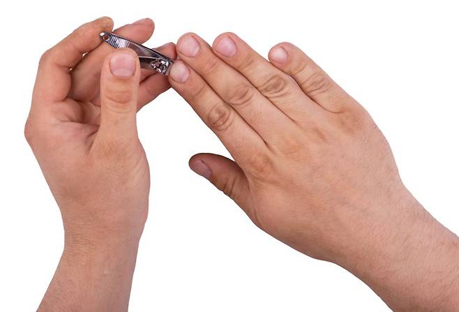 손톱을 지나치게 짧게 깎으면 주변 살이 외부 자극에 노출돼 각질이 많이 생기고, 손가락 끝에 멍이 들기 쉽다./사진=게티이미지뱅크