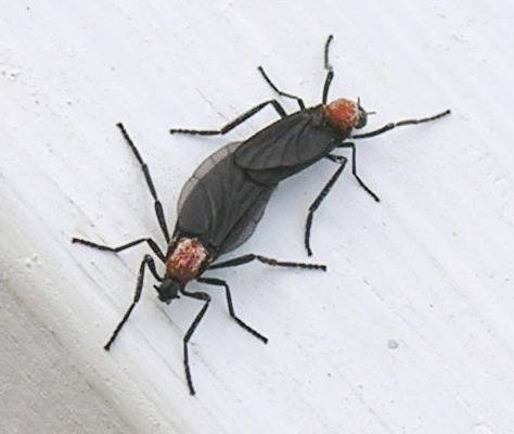 [온라인 커뮤니티]