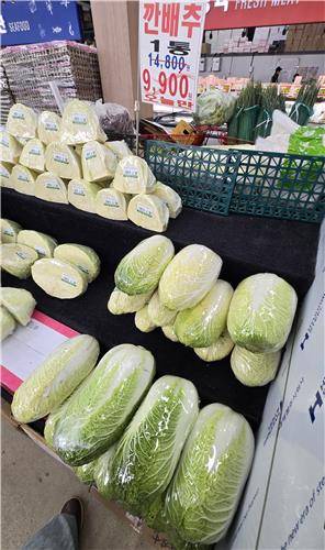 배추 1통에 9천900원 [촬영 유형재]