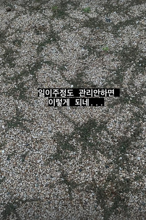 사진=아이비 SNS