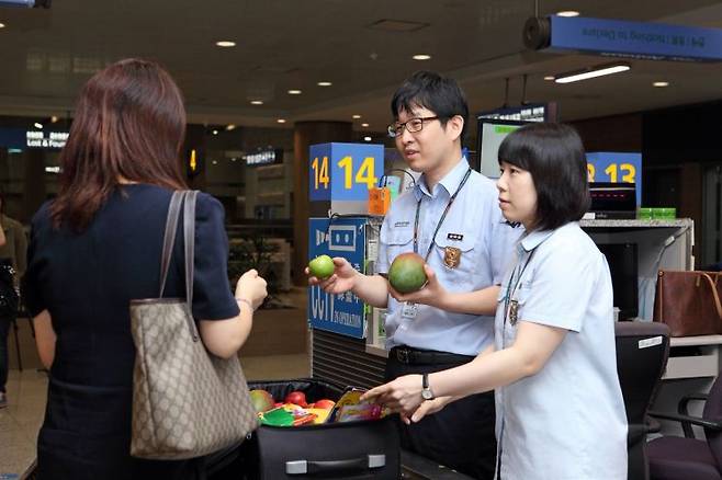 인천국제공항 입국장에서 농림축산검역본부 직원들이 휴대품 검역을 하고 있다.       사진제공=농림축산검역본부
