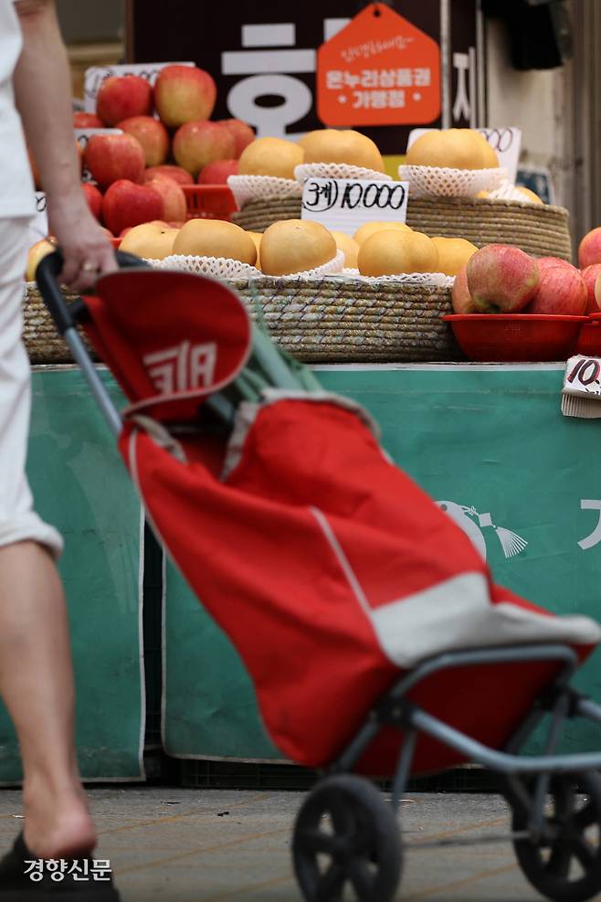 추석 장보러 전통시장 갈까 정부가 추석 민생안정대책을 발표한 28일 서울 동대문구 청량리청과물시장에서 한 시민이 장을 보고 있다. 조태형 기자 phototom@kyunghyang.com